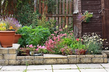 How to Spice-up Your Drought-Friendly Rock Garden