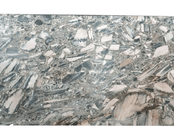 Cicala Grey Beige Quartzite Slab