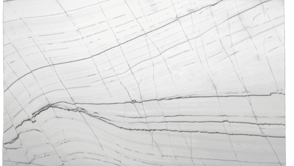 Domus White White Blue Quartzite Slab