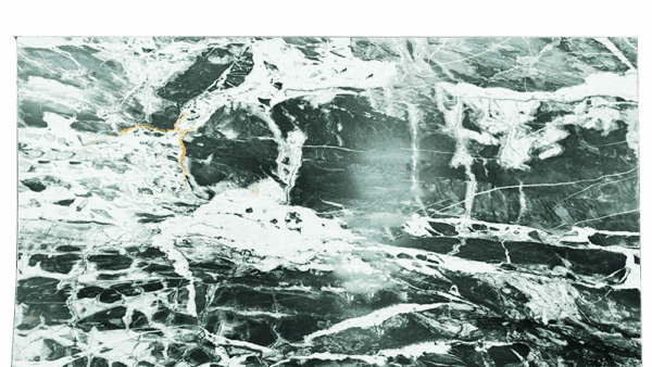 Green Andes Green Quartzite Slab 21