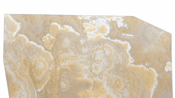 Honey Gold Onyx Slab
