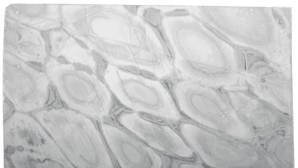 Nuvolato Blue Blue Grey Quartzite Slab