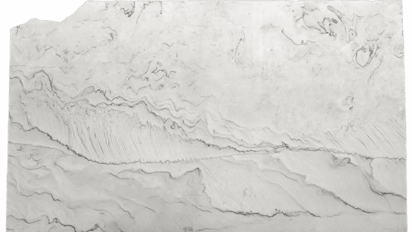 Opus White White Grey Quartzite Slab