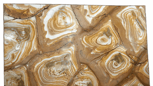 Palomino Beige Brown Granite Slab 346