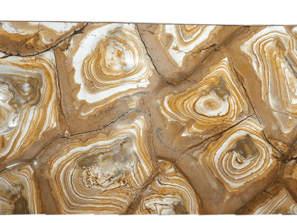Palomino Beige Brown Granite Slab 346