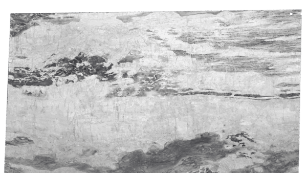 Python White Grey Quartzite Slab