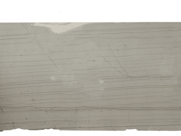 White Macuabas White Quartzite Slab 449