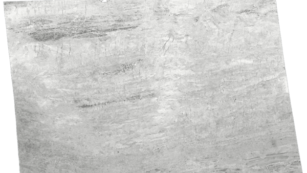 White Princess Grey White Quartzite Slab 217