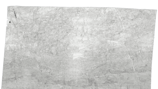 White Princess White Grey Quartzite Slab