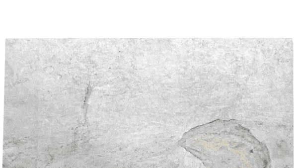 White Princess White Grey Quartzite Slab 220
