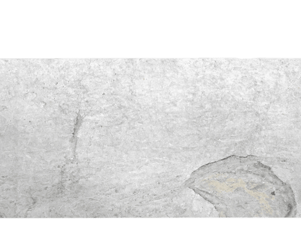 White Princess White Grey Quartzite Slab 220