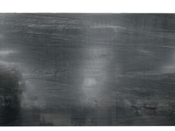 Brilliant Black Black Quartzite Slab 239