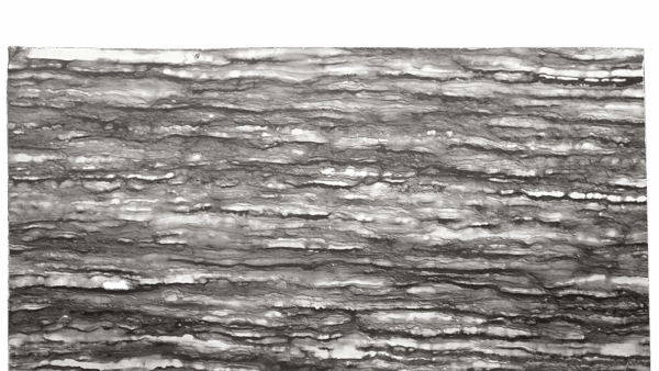 Sequia Brown Brown Grey Black Quartzite Slab 149