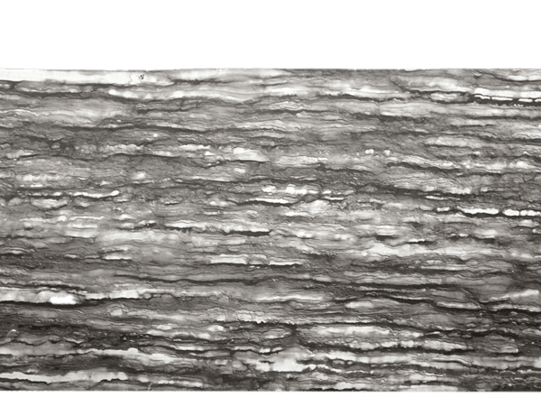 Sequia Brown Brown Grey Black Quartzite Slab 149