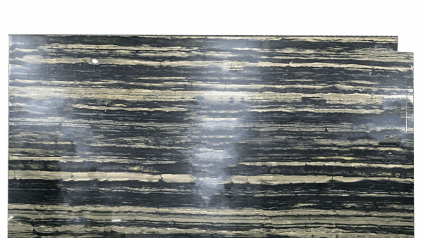 Verde Bamboo Green Black Quartzite Slab