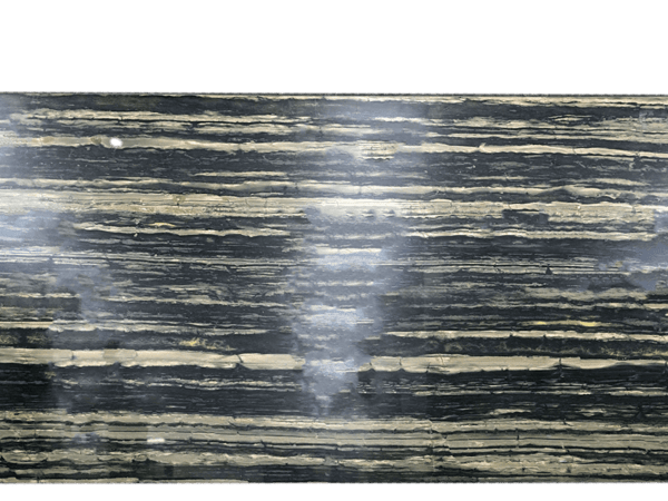 Verde Bamboo Green Black Quartzite Slab