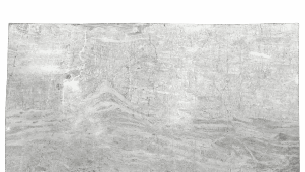 White Princess White Grey Quartzite Slab 221