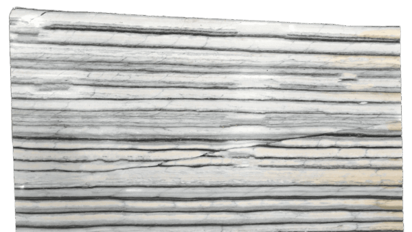 Zebrino White Black Marble Slab 228