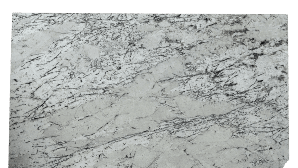 Andorra White Granite Slab