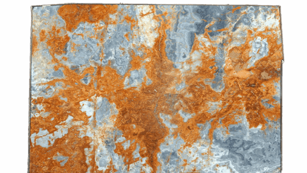 Blue Jean Gold Blue Onyx Slab 466