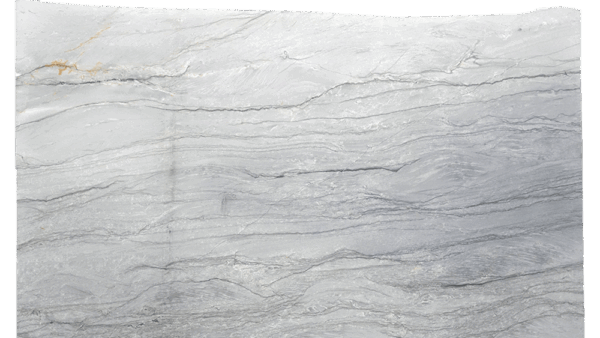 Brooklyn Grey Quartzite Slab 302