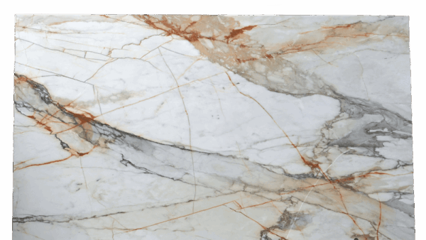 Calacatta Macchia Vecchia White Brown Marble Slab 427