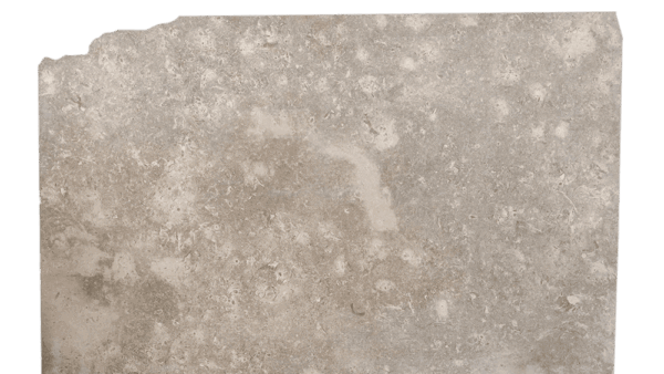 Jerusalem Grey Gold Taupe Limestone Slab 403