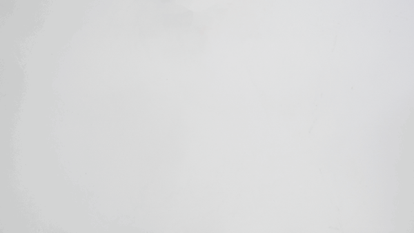 Thassos Honed Marble