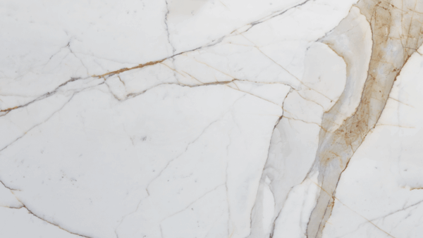 Calacatta Gold Premium Honed Marble