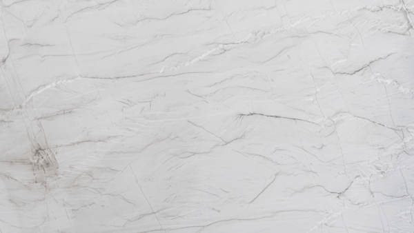 Le Blanc Quartzite Honed