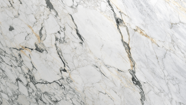 Calacatta Monet Honed Marble Slab