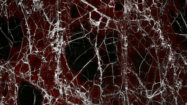 Rosso Levanto Marble Polished Slab