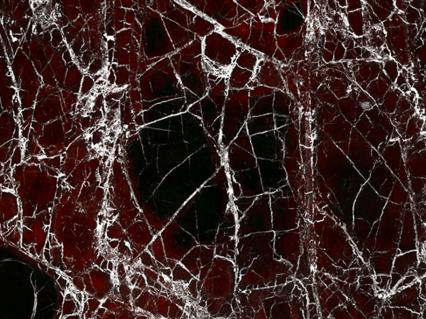 Rosso Levanto Marble Polished Slab