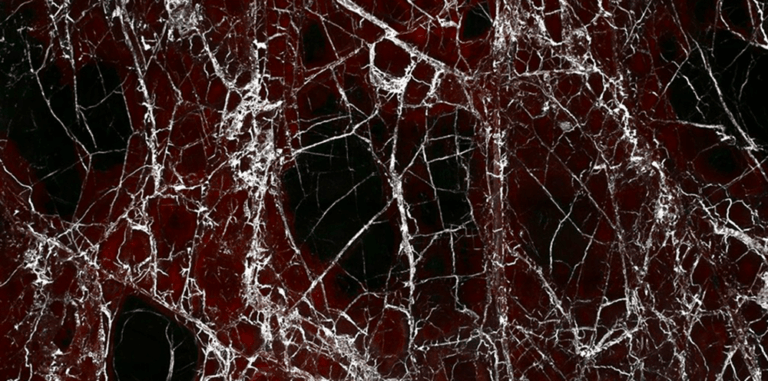 Rosso Levanto Marble Polished Slab