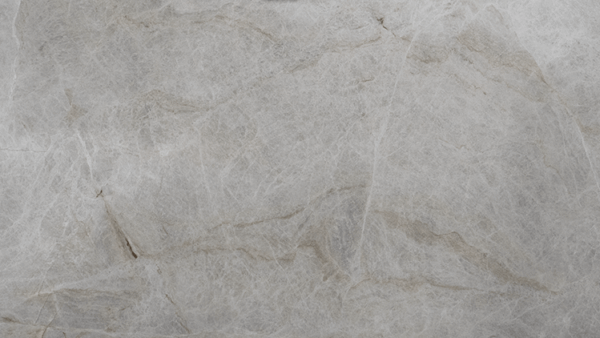 Taj Mahal leathered Quartzite