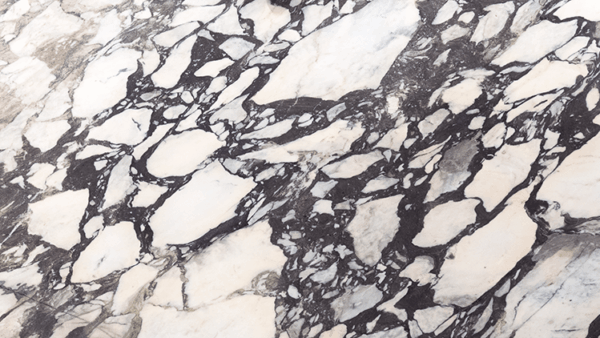 Calacatta Viola Honed Marble