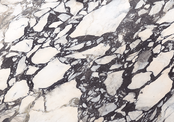 Calacatta Viola Honed Marble