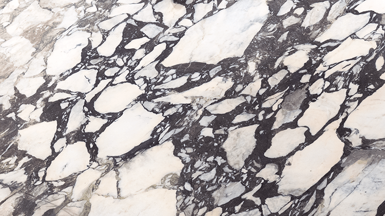 Calacatta Viola Honed Marble