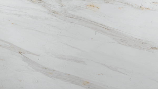 Calacatta Cremo Honed Marble
