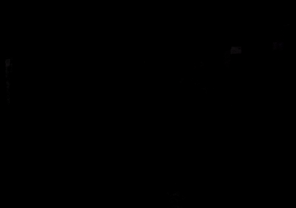 Premium Black Polished Granite