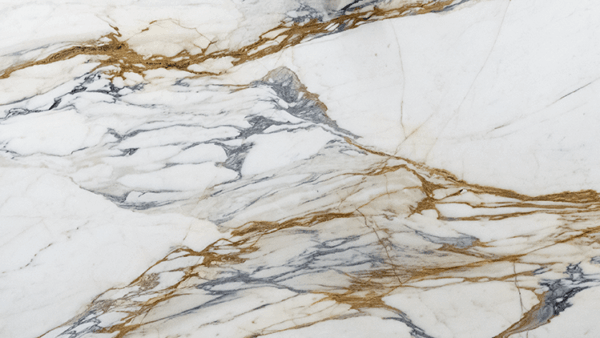 Calacatta Macchia Vecchia Corchia Honed Marble