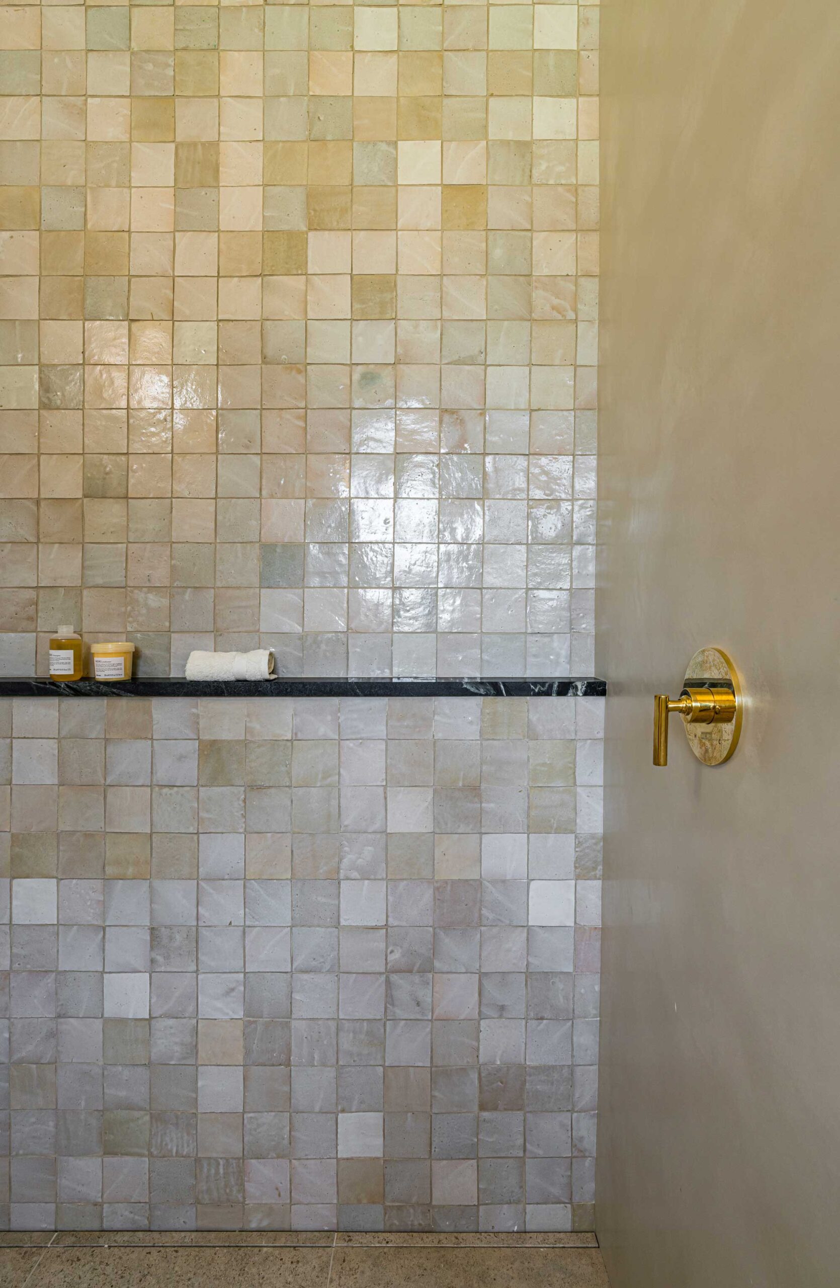 Forte Bellini Zellige Shower Tile And Gascogne Blue Floor Tile   Ridge Valley Project (1)
