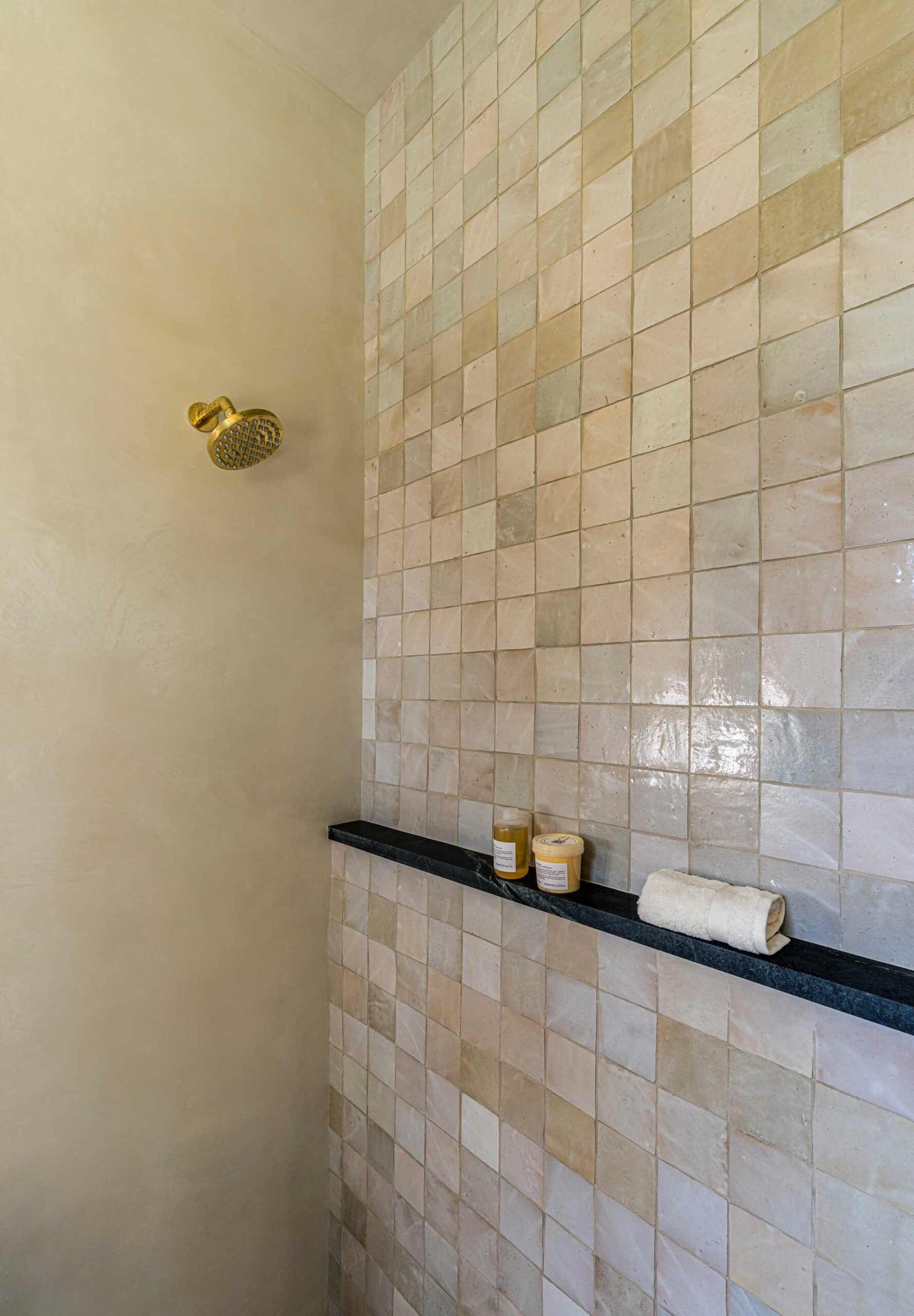 Forte Bellini Zellige Shower Tile And Gascogne Blue Floor Tile   Ridge Valley Project (2)