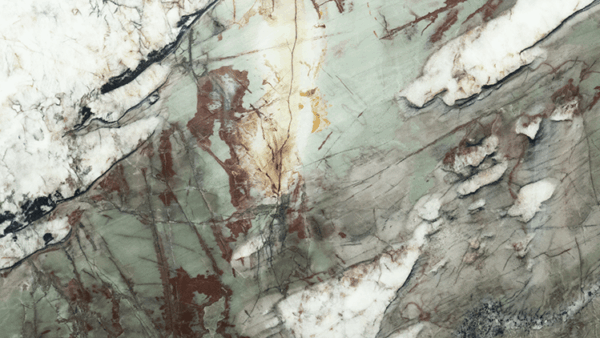 Bonsai Quartzite Slab Polished