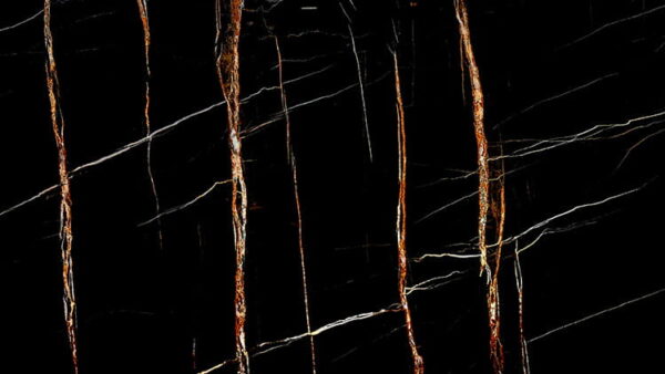 Sahara Noir Polished Marble