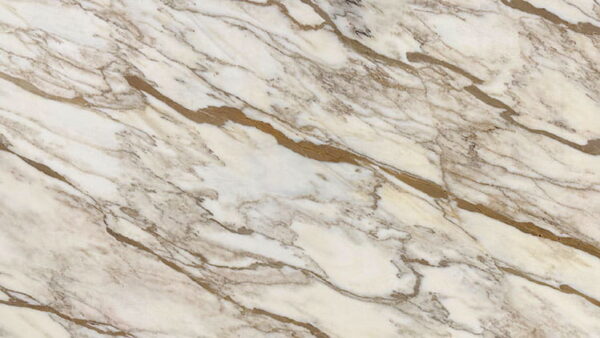 Arabescato Gold Polished Marble