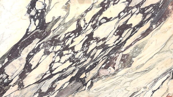 Calacatta Viola Honed Marble Slab